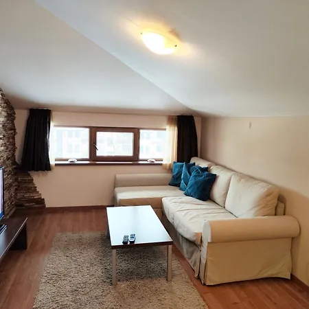 в белведере клуб